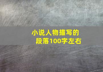 小说人物描写的段落100字左右