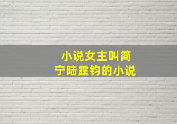 小说女主叫简宁陆霆钧的小说