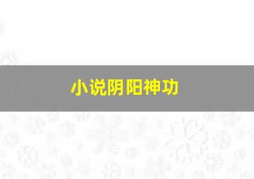 小说阴阳神功