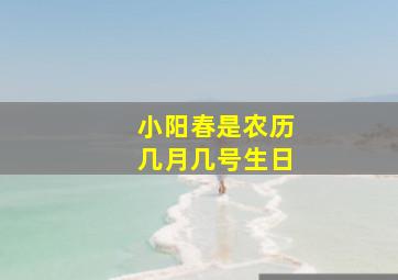 小阳春是农历几月几号生日