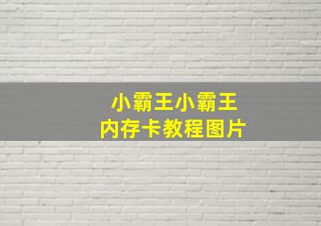 小霸王小霸王内存卡教程图片