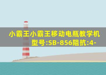 小霸王小霸王移动电瓶教学机型号:SB-856阻抗:4-