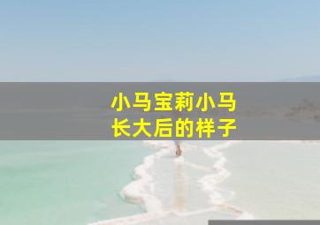 小马宝莉小马长大后的样子