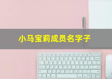 小马宝莉成员名字子