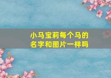 小马宝莉每个马的名字和图片一样吗