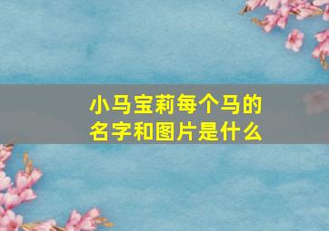 小马宝莉每个马的名字和图片是什么