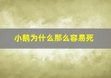 小鹅为什么那么容易死