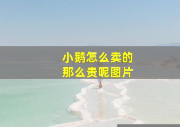 小鹅怎么卖的那么贵呢图片