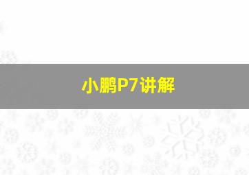 小鹏P7讲解