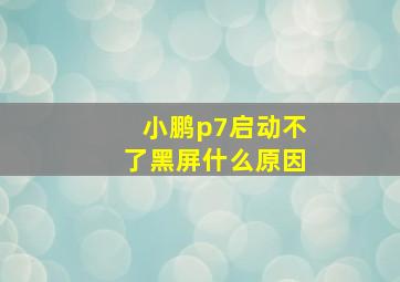 小鹏p7启动不了黑屏什么原因