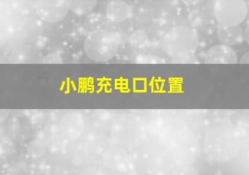 小鹏充电口位置