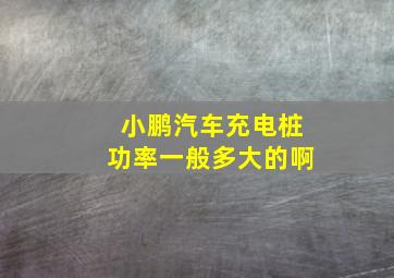 小鹏汽车充电桩功率一般多大的啊