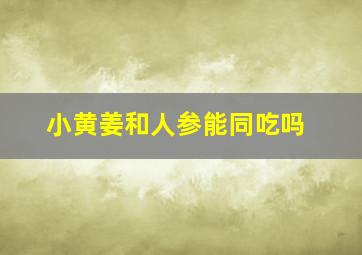 小黄姜和人参能同吃吗