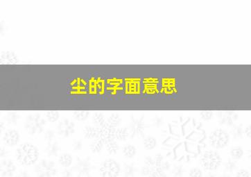 尘的字面意思