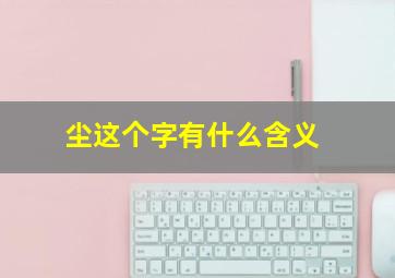 尘这个字有什么含义