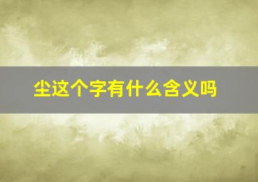 尘这个字有什么含义吗