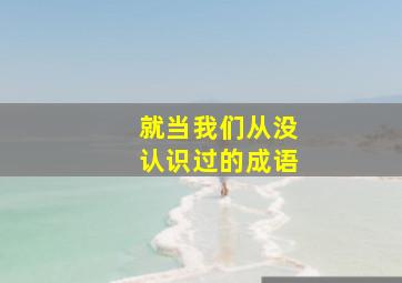 就当我们从没认识过的成语