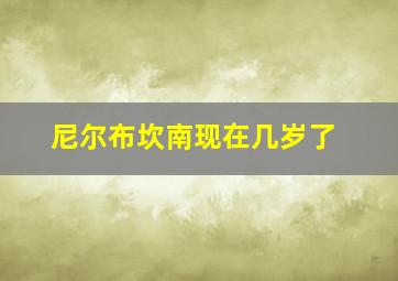 尼尔布坎南现在几岁了