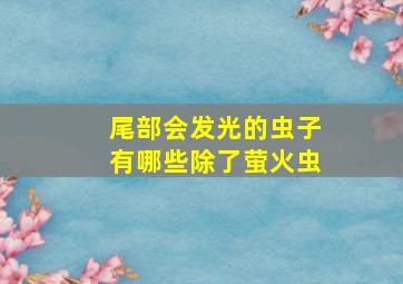 尾部会发光的虫子有哪些除了萤火虫