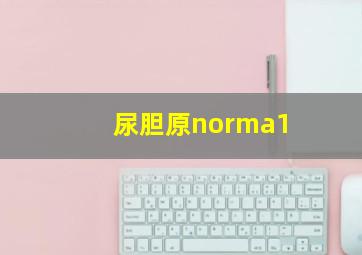 尿胆原norma1