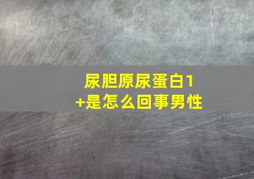 尿胆原尿蛋白1+是怎么回事男性