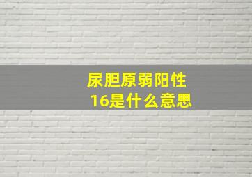 尿胆原弱阳性16是什么意思