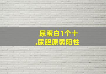 尿蛋白1个十,尿胆原弱阳性