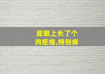 屁眼上长了个肉疙瘩,特别痒