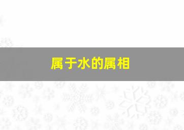 属于水的属相