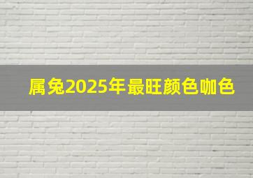 属兔2025年最旺颜色咖色