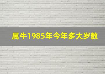 属牛1985年今年多大岁数