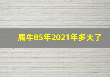 属牛85年2021年多大了