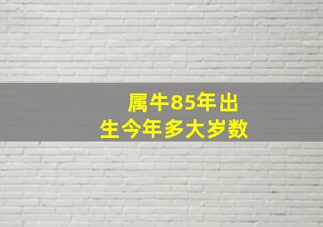 属牛85年出生今年多大岁数