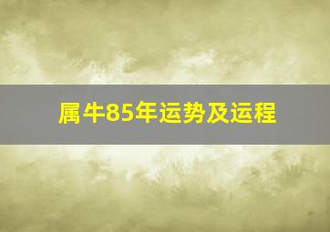 属牛85年运势及运程