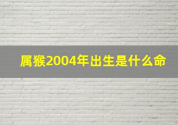 属猴2004年出生是什么命