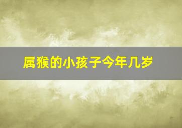 属猴的小孩子今年几岁