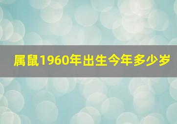 属鼠1960年出生今年多少岁