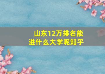 山东12万排名能进什么大学呢知乎