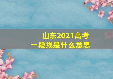 山东2021高考一段线是什么意思