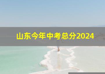 山东今年中考总分2024