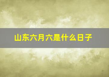 山东六月六是什么日子