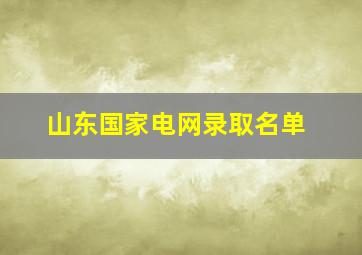 山东国家电网录取名单