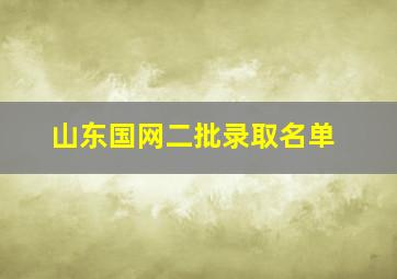 山东国网二批录取名单