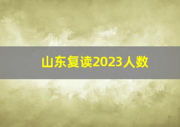 山东复读2023人数