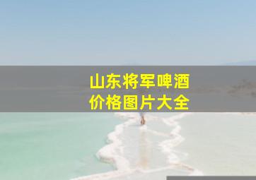 山东将军啤酒价格图片大全