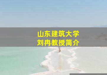 山东建筑大学刘冉教授简介