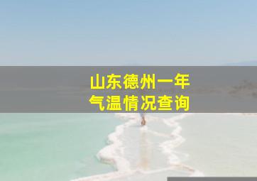 山东德州一年气温情况查询