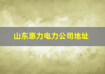 山东惠力电力公司地址