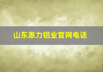 山东惠力铝业官网电话