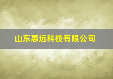 山东惠远科技有限公司